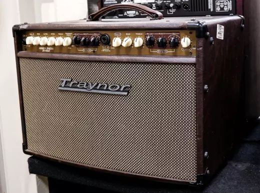 Traynor - AM Standard 2-Channel Stereo Acoustic Guitar Amp - 150 Watts 2